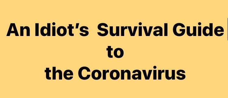 An Idiot's Guide To Surviving The Coronavirus - James Mapes