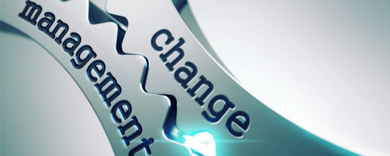 HOW TO MANAGE CHANGE IN 13 STEPS